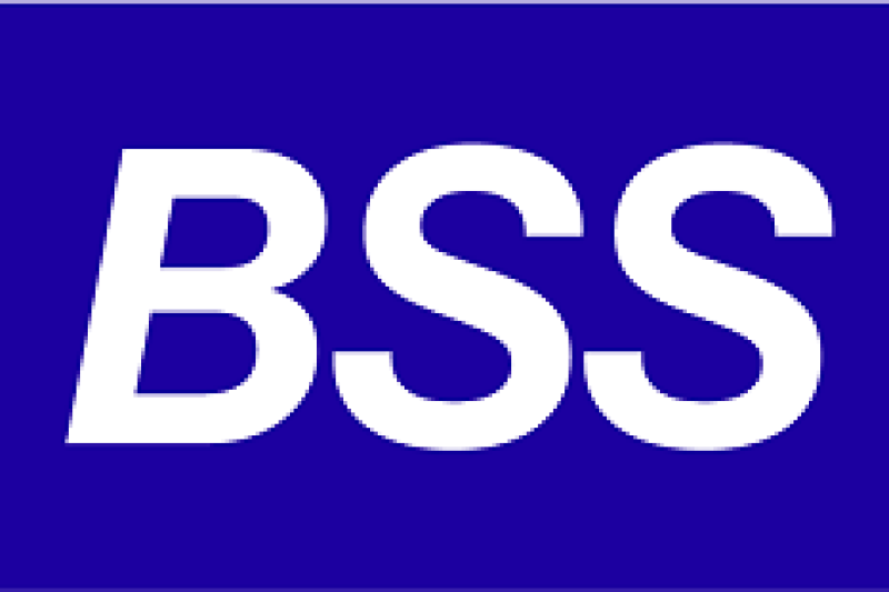 «БСС ИИ» аккумулирует технологии для бизнеса и госсектора в МАХ