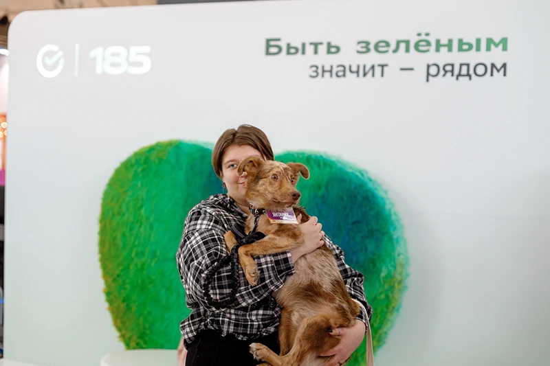 Почти сто бездомных животных нашли хозяев за выходные